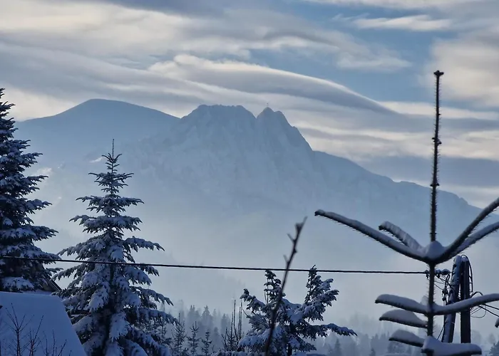 民宿 Goscinne U Moniki I Daniela 扎科帕内